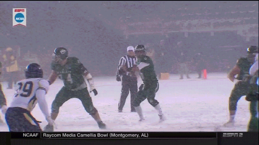 D-II Snow Action!
