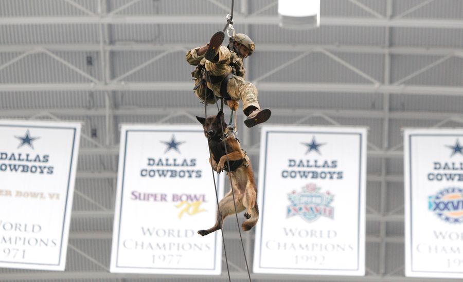 A Dog Rappelled From The Cowboys' Jumbotron