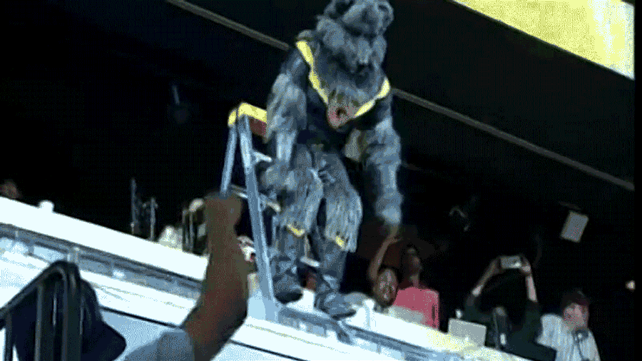 Grizzlies Mascot Back To Putting Opponents Through Tables