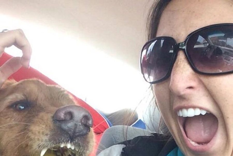 Selfie Dog Barfs 