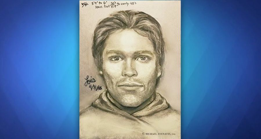 Who Does This Alleged Trump Goon Remind You Of?