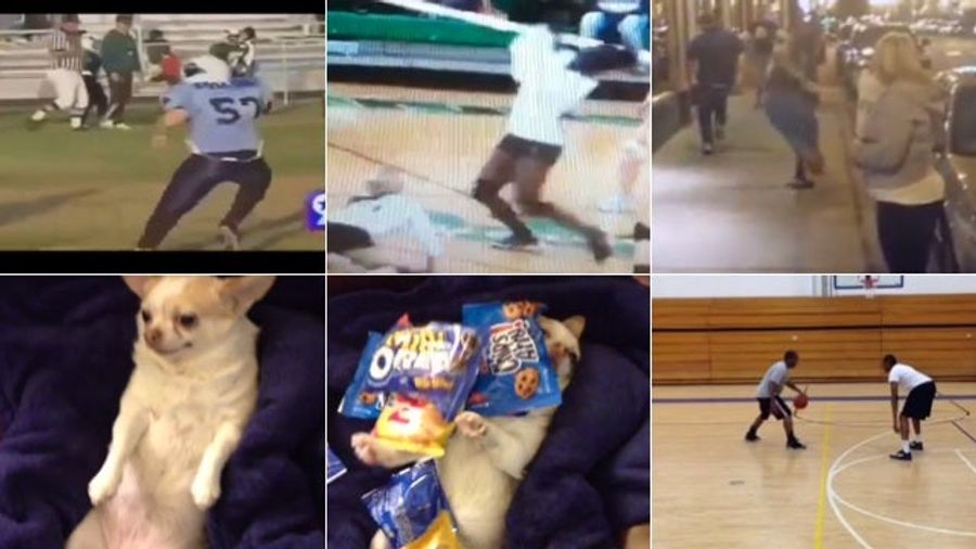 These Are Our Favorite Vines