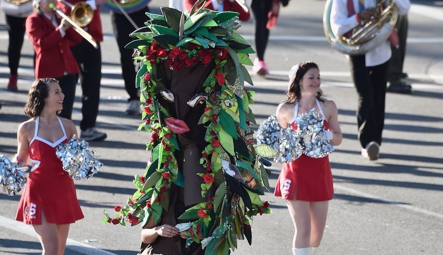Stanford Band No Longer Banned From Stanford Land For Not Aligning With Stanford Brand