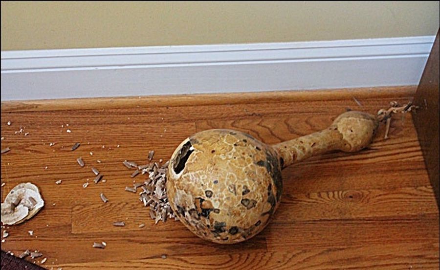 What Horrible Things Did We Do To Our Penises Last Year?