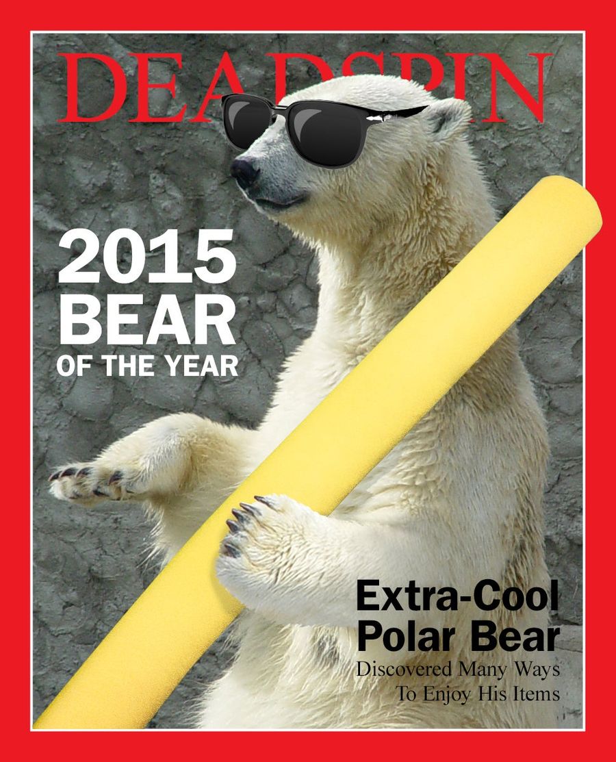 The 2015 Deadspin Bear Of The Year