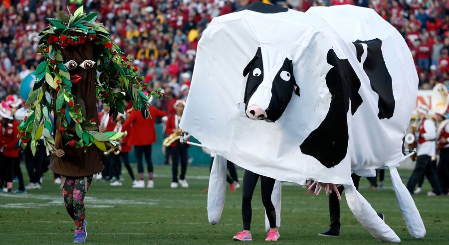 Iowa Senator Introduces Just The Whiniest Bill About The Stanford Band