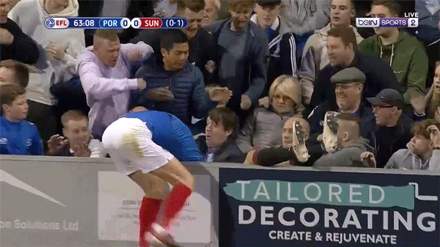 Idiot Portsmouth Fan Arrested For Hitting Sunderland Player Who Fell Into The Stands
