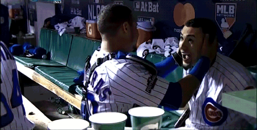 Chicago Cubs Are National League Champions<em></em>