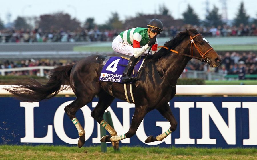 A Day At The Track For The World's Biggest And Strangest Horse Race