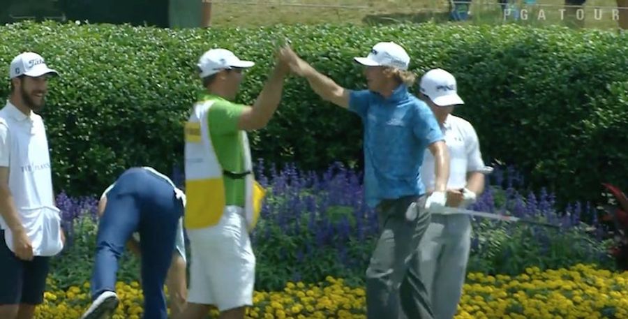 Will Wilcox Sinks Hole-In-One, Goes On Extended High-Five Spree
