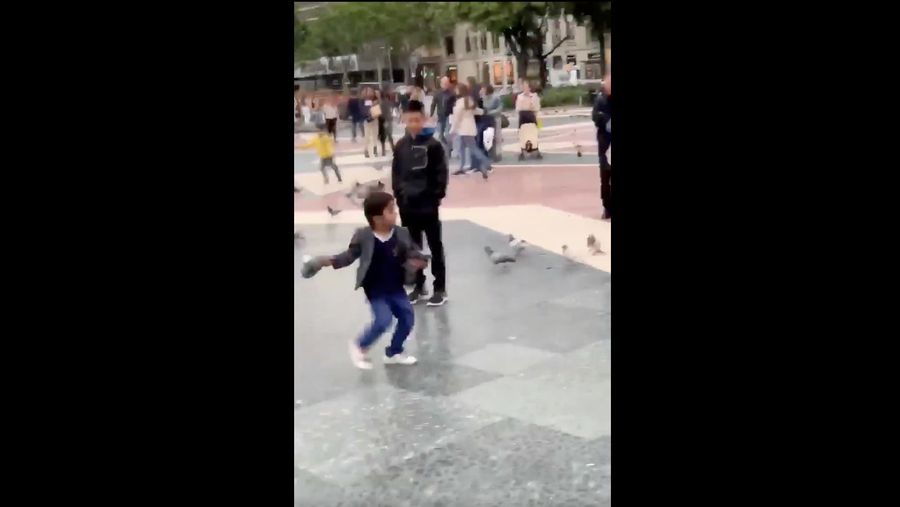 Young Child Demonstrates Impressive Pigeon-Throwing Abilities To Confused, Scared Onlookers