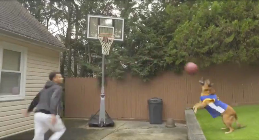 Good Dog Throws A Mean Alley-Oop