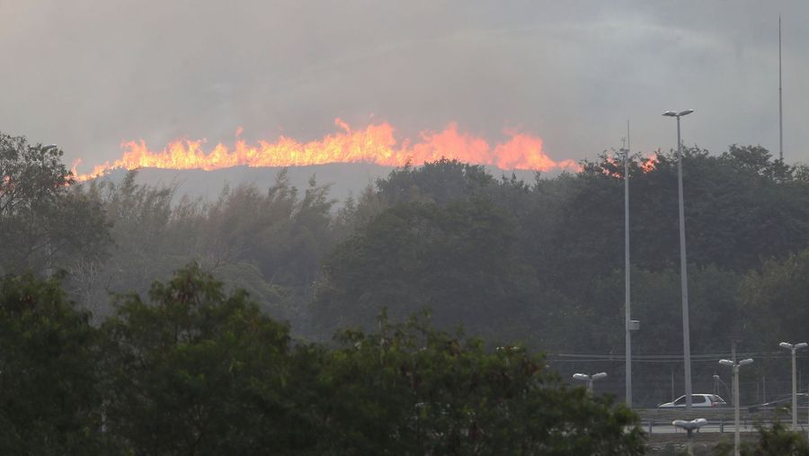 Out-Of-Control Garbage Fire Reportedly Sets Olympic Mountain Bike Course Ablaze<em></em>
