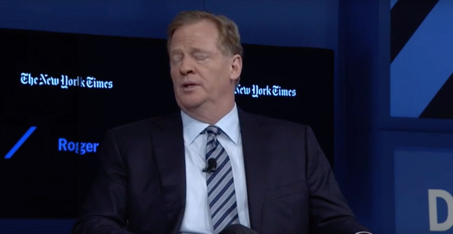 Roger Goodell On How Election Will Affect Roger Goodell: It Will Affect Roger Goodell<em></em>