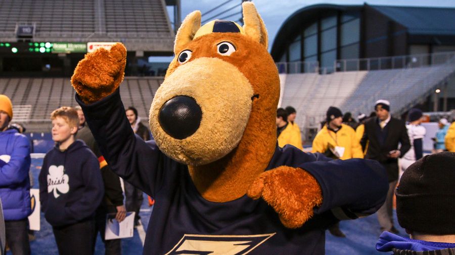 Zippy The ’Roo Is Missing!