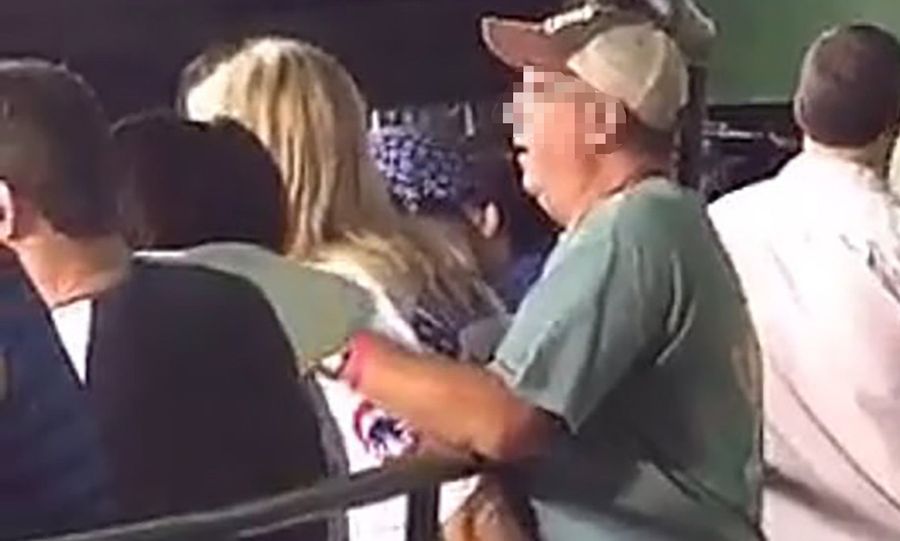 Cubs Fans Enjoy Baseball Game