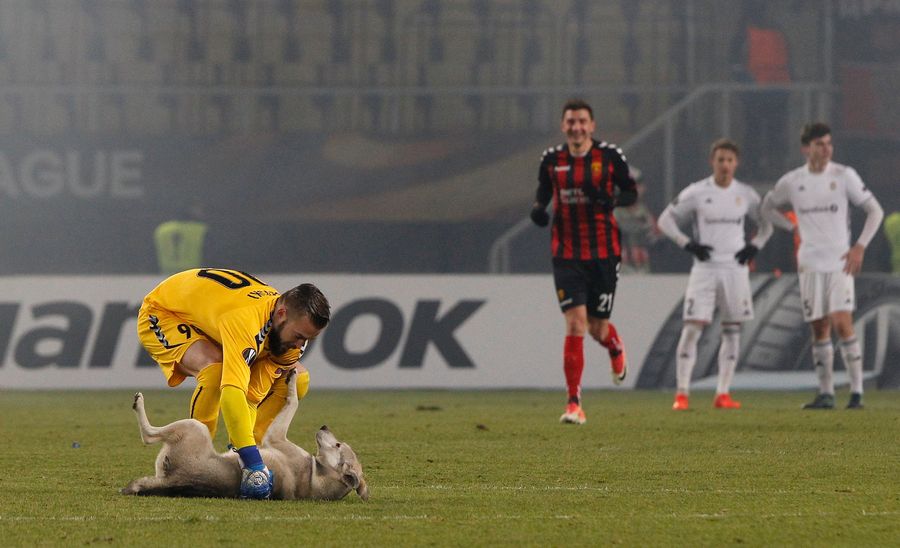 Ugly Soccer Match Becomes Much Better After Dog Invades The Pitch