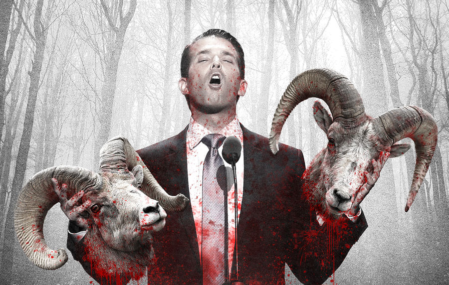 That Idiot On Your Hunting Message Board Might Be Donald Trump Jr.