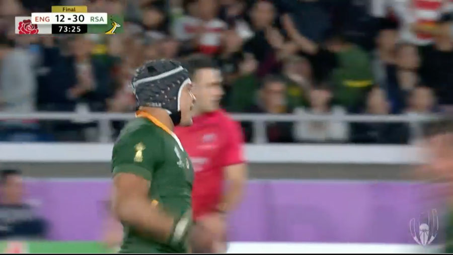 Springboks Kill Lions