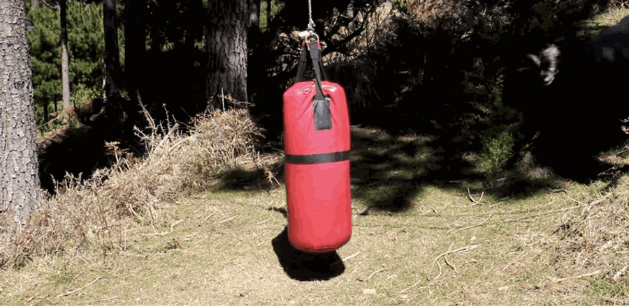 Angry Ram Makes Mincemeat Out Of Punching Bag