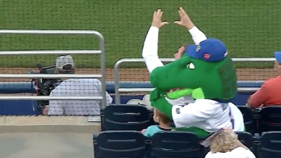 Florida Gators Mascot Sacrifices Big Dumb Head To Protect Kid From Foul Ball