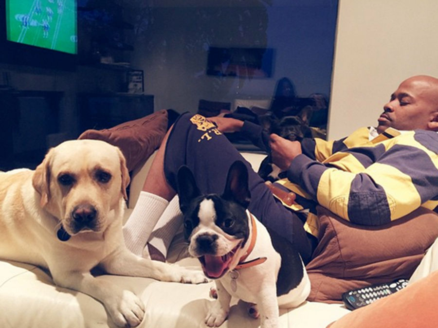 A Brief Guide To Damon Dash&#39;s Dogs, AKA His Emotional Support Dragons