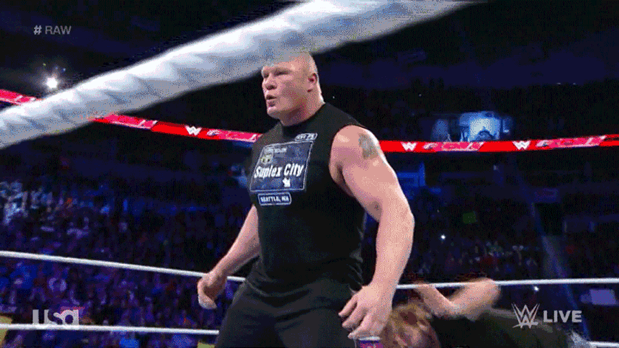 This Wouldn't Take Down The Brock Lesnar I Know