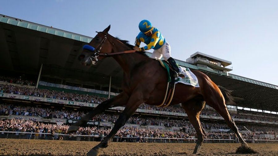 American Pharoah Owner Says Horse Will Run Again This Year