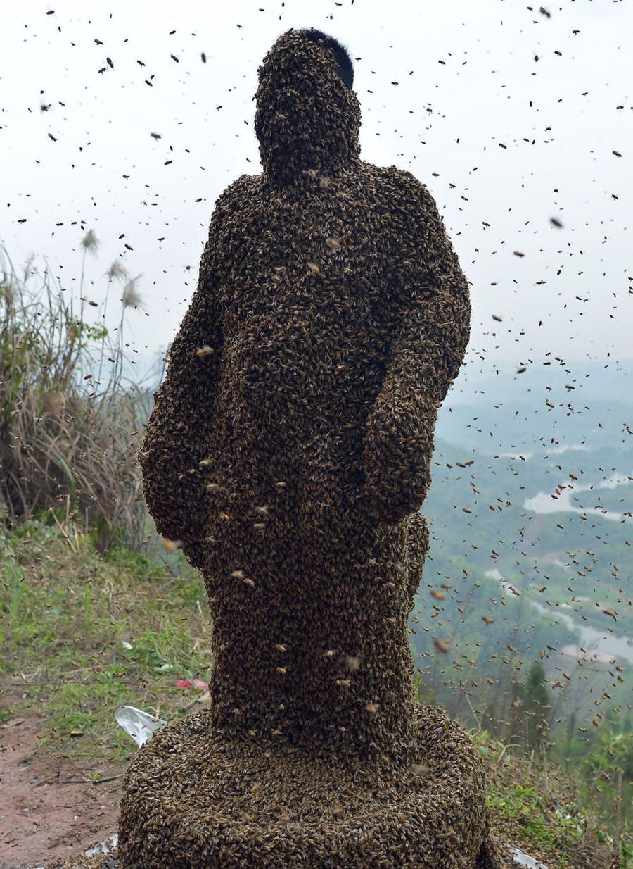 Man Covers Himself In 100 Pounds Of Bees To Sell Honey
