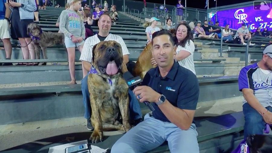 Would You Fight And Die For Titan, The New Dog-King Of Baseball?