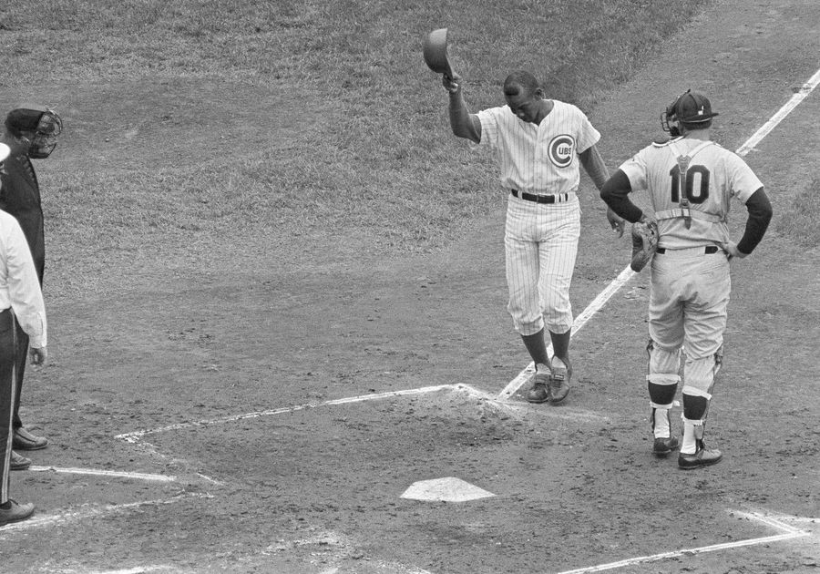 Mr. Cub Remembers