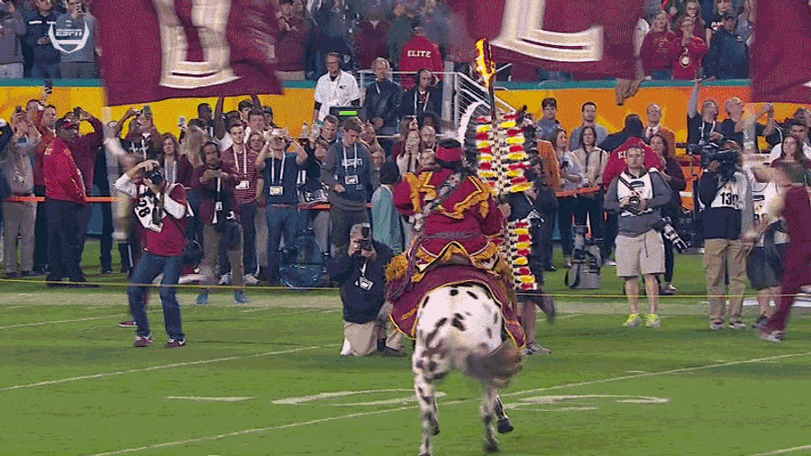 Horse Initiates Impromptu Protest Against Cultural Appropriation