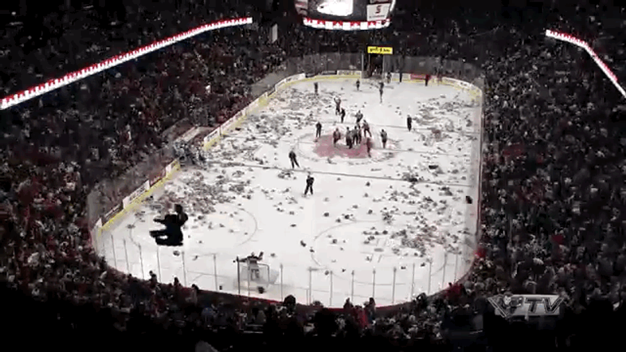 Teddy Bears Everywhere