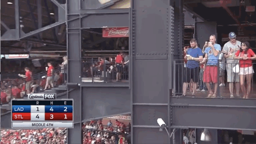 Cardinals Fan Drops Beer On Fans Below