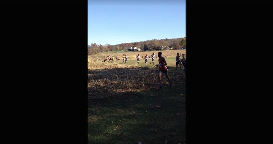 Deer Lowers The Boom On Cross Country Runner