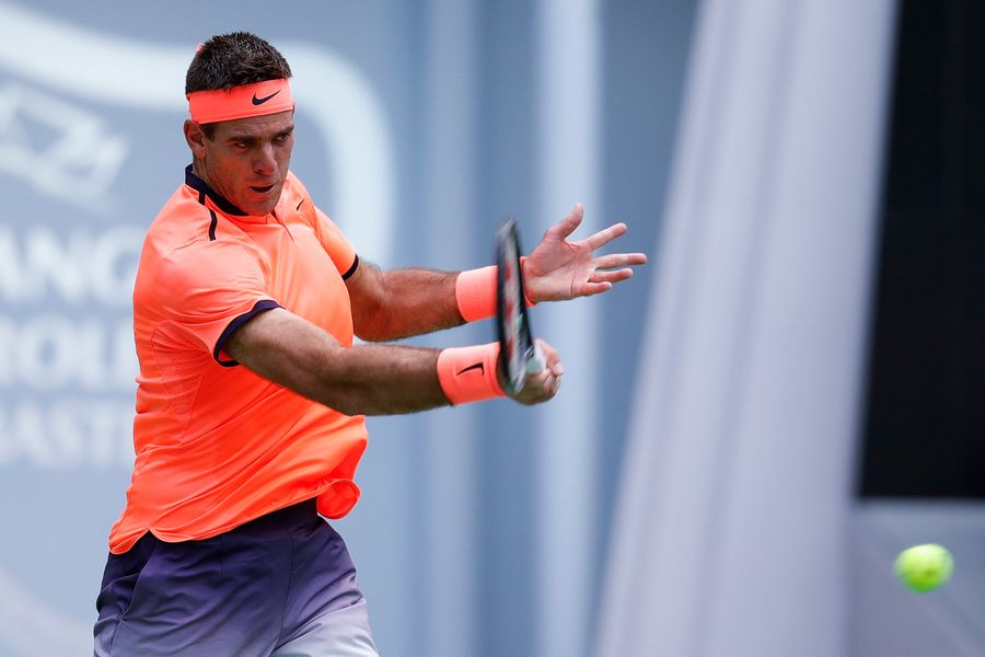 Is Juan Martin Del Potro Back?