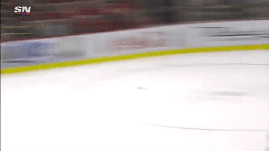 Ryan Miller Makes A Spectacular Diving Save