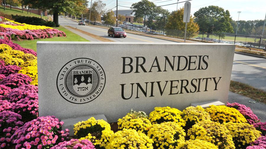 &quot;I&#39;ll Ship You Back To Africa&quot;: The Full Story Behind Brandeis University Firing Its Basketball Coach