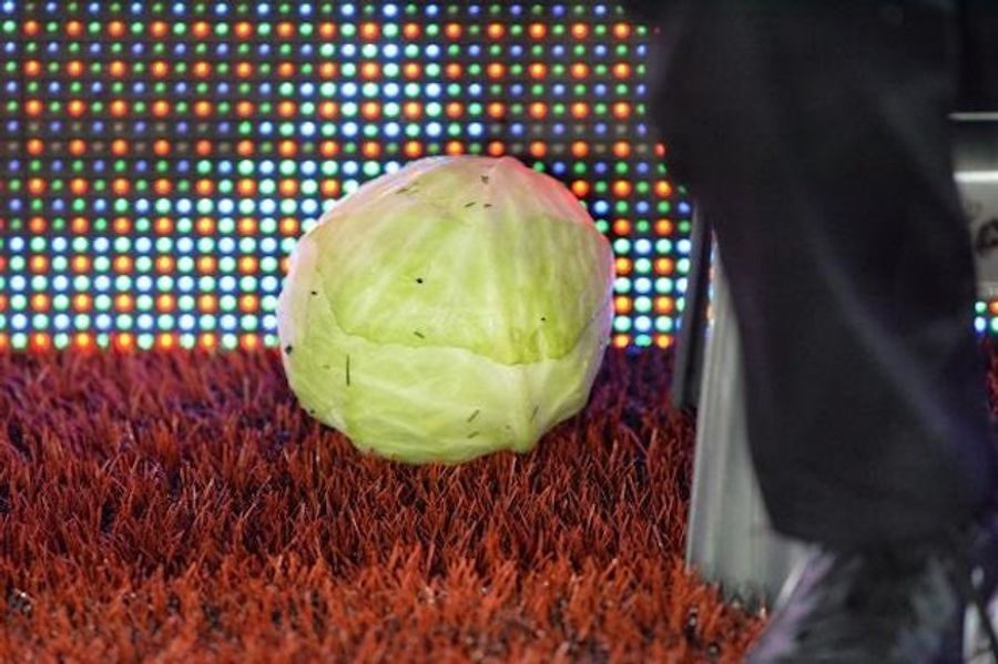 Manhunt Is On For Aston Villa Fan Who Chucked A Cabbage At The Team's Manager
