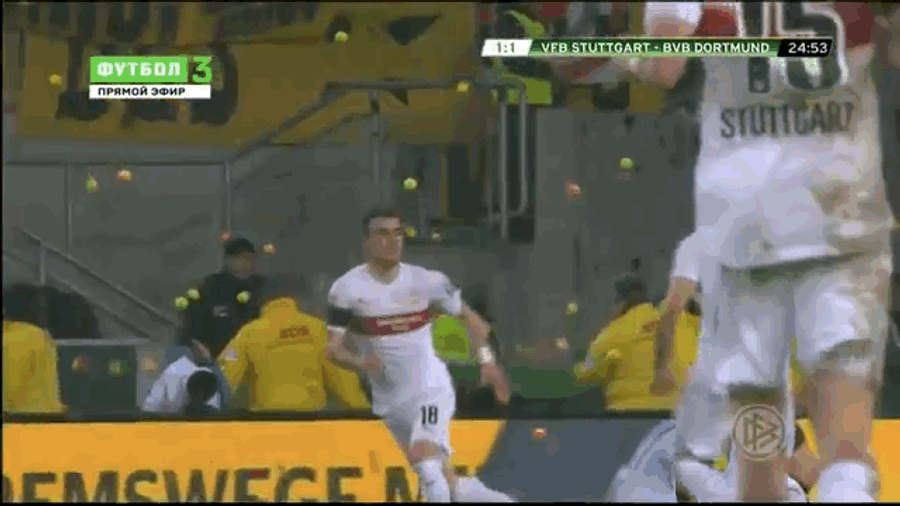 Borussia Dortmund Fans Protest Ticket Prices By Raining Tennis Balls Onto Pitch