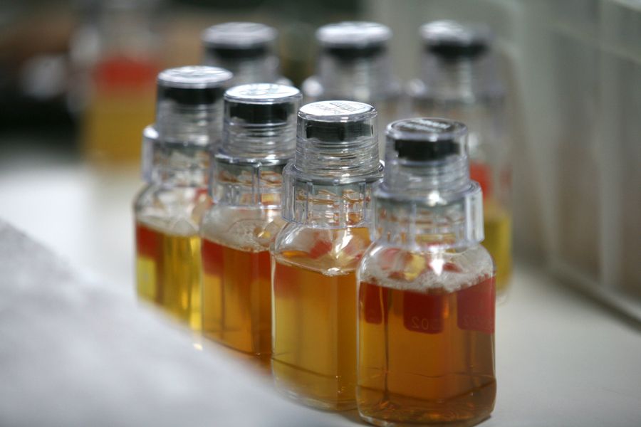 IOC Discovers 31 New Positives In Retests Of 2008 Doping Samples