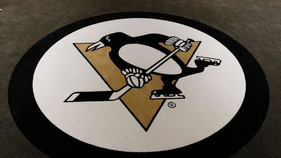 Police Investigating Alleged Rape At Penguins Game