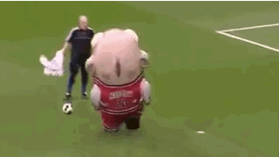Known Man-Eating Fish Strikes England, Devours Goalkeeping Coach On Pitch