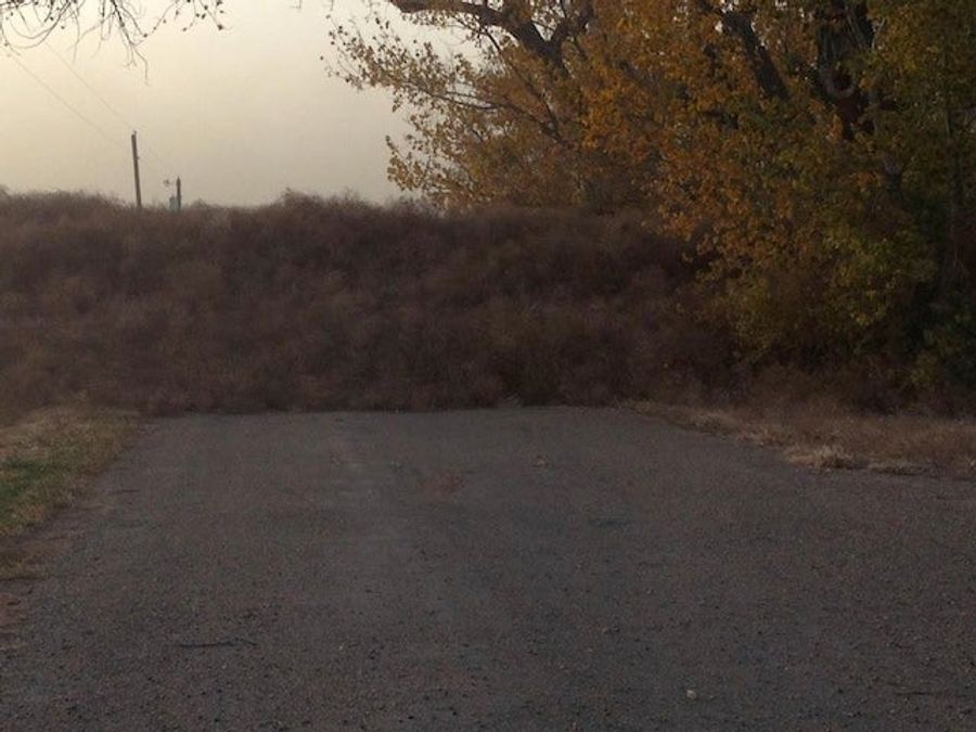 Bad News: Colorado Belongs To The Tumbleweeds Now