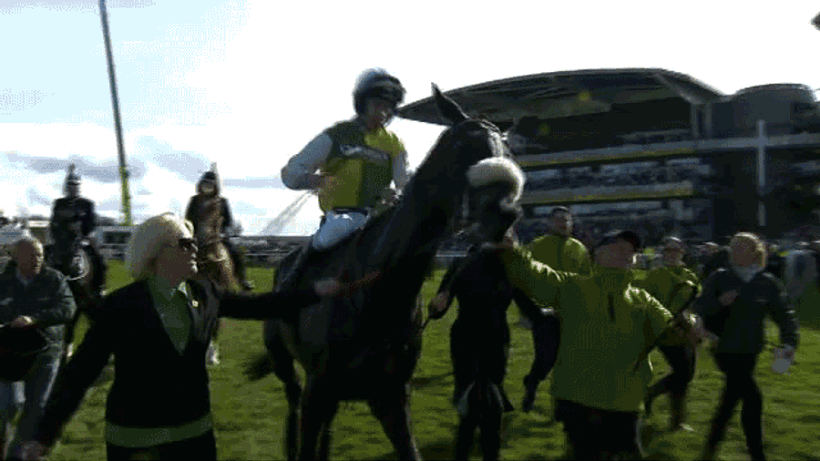 Grand National Winner Celebrates By Head-Butting Handler In The Balls