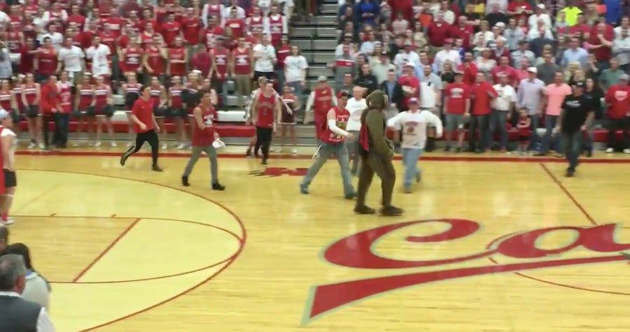 High School Students Storm Court, Attack Mascot To Defend Other Mascot's Honor