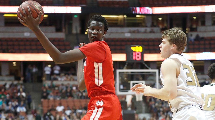 Teenage Giant Bol Bol Commits To Oregon