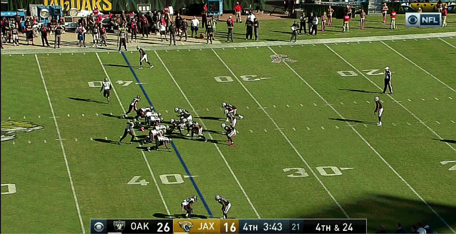 The Jacksonville Jaguars, Everybody