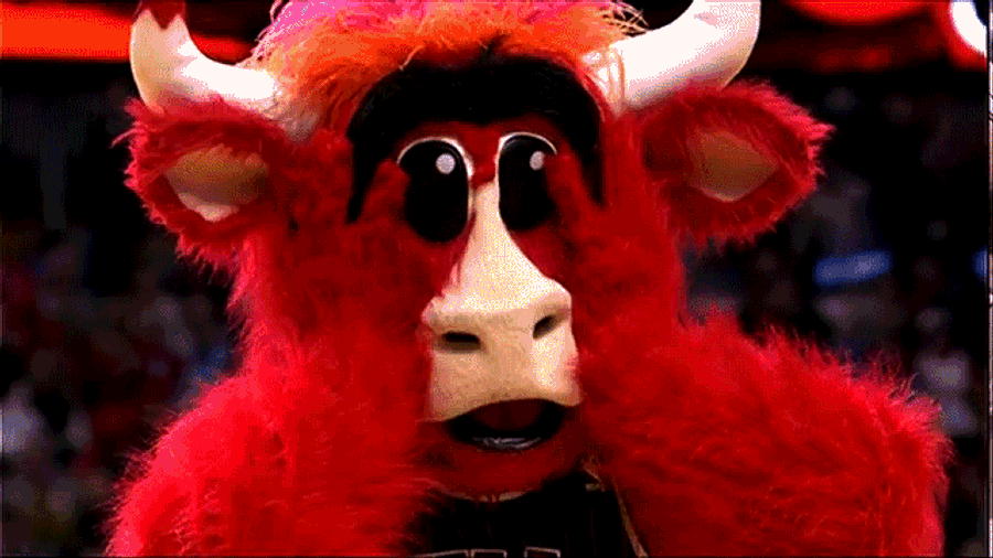 Benny The Bull Is Living The Dream