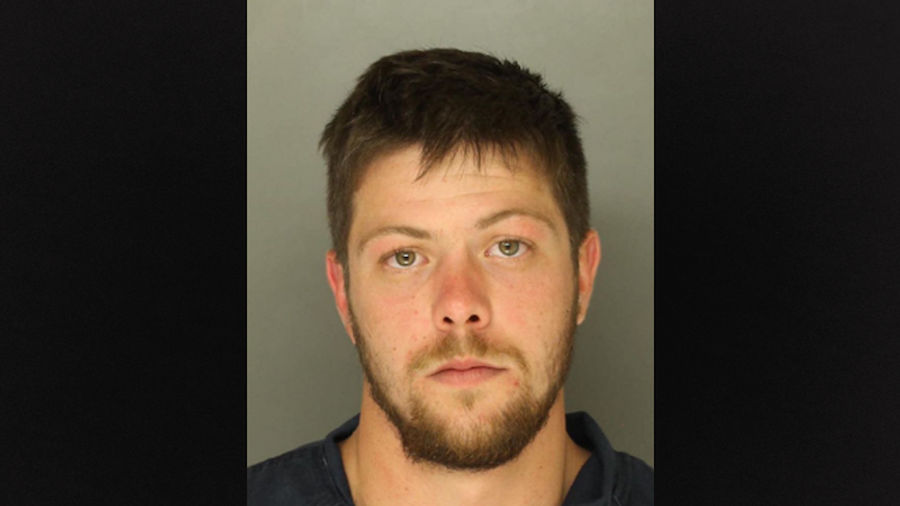 Man Gives Amish Teens Yuengling, Yells &quot;Rumspringa&quot; As He Hits Their Horse-Drawn Buggy, Goes To Prison
